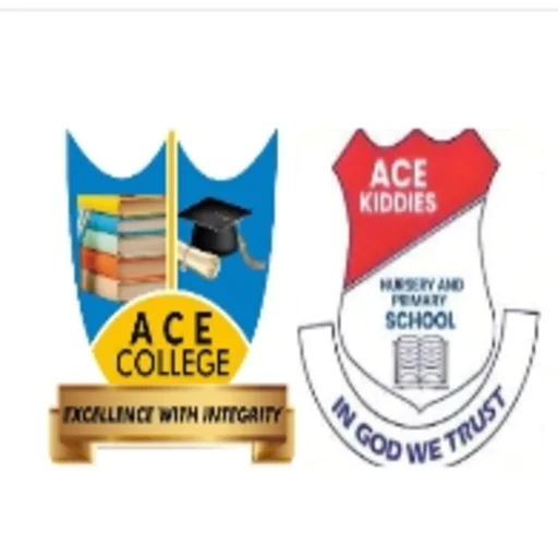Ace College