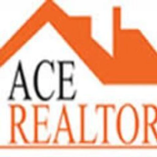  Ace Realtors