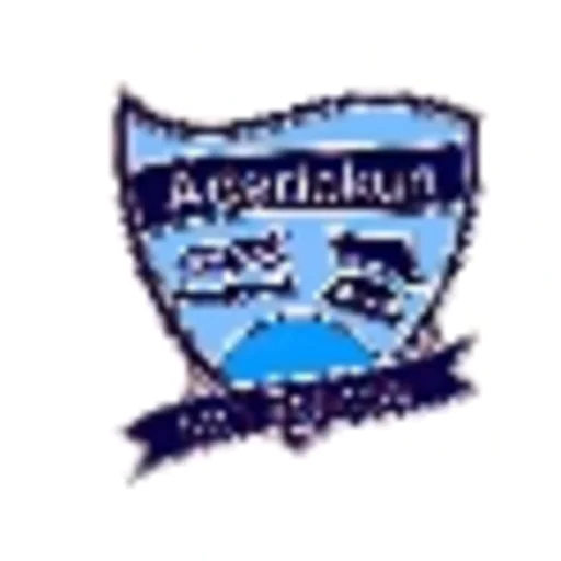 Adedokun International Schools