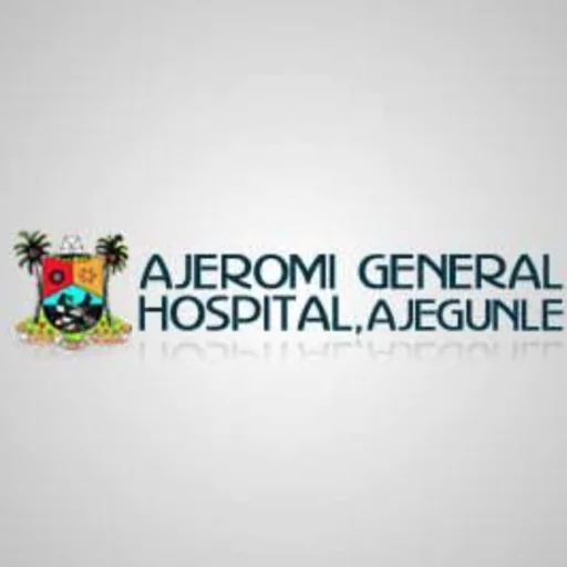 Ajeromi General Hospital (Mushin boundary access)