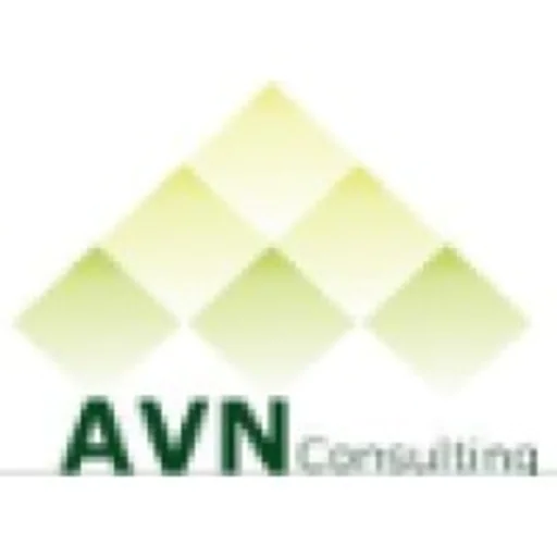 AVN Consulting