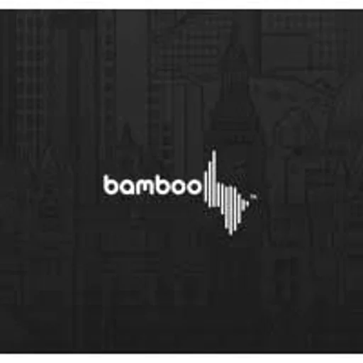 Bamboo Real Estate Limited