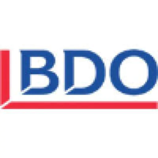  BDO Professional Services