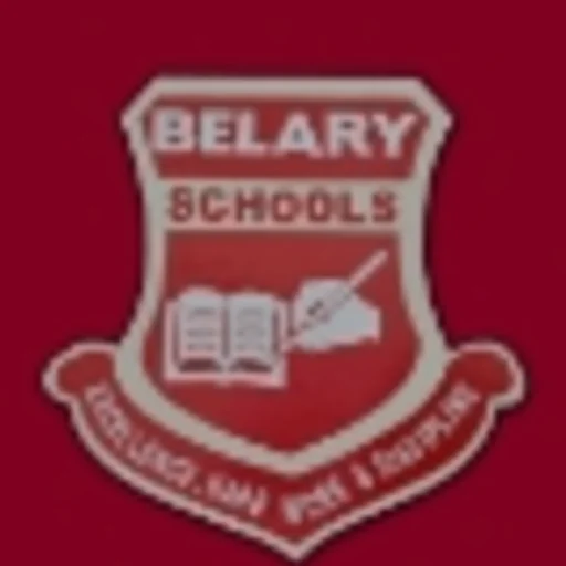 Belary International school