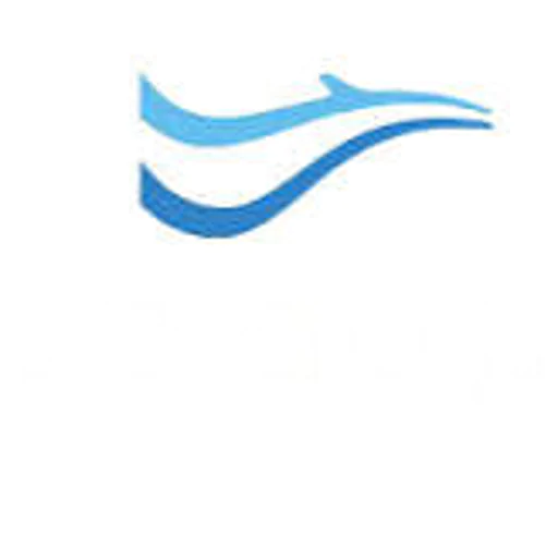 Bluedolphin Group