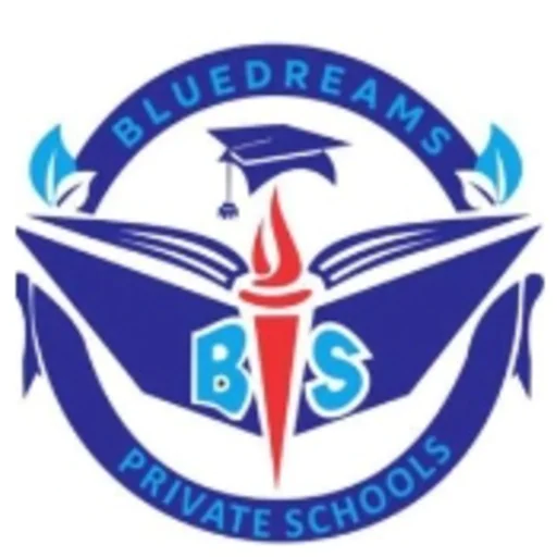 Bluedreams School