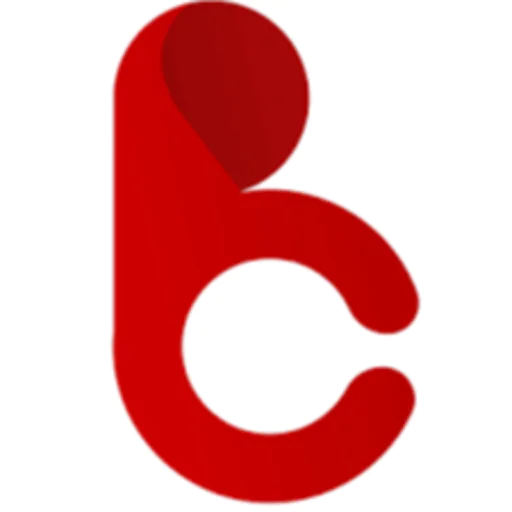 Cameraboss Multimedia