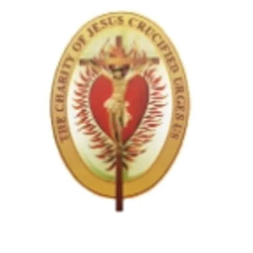 Daughters Of Charity Nigeria