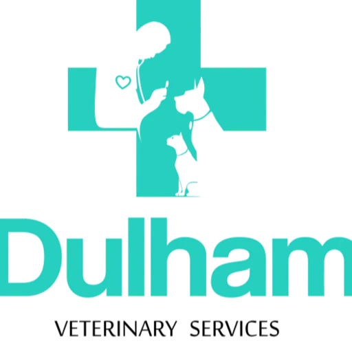 Dulham Veterinary Services