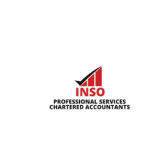 INSO Professional Services 