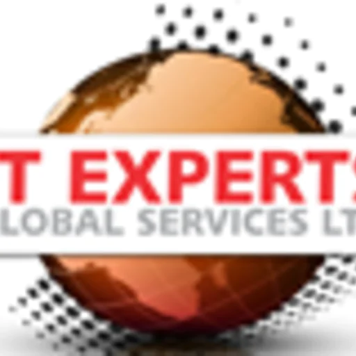 IT Experts