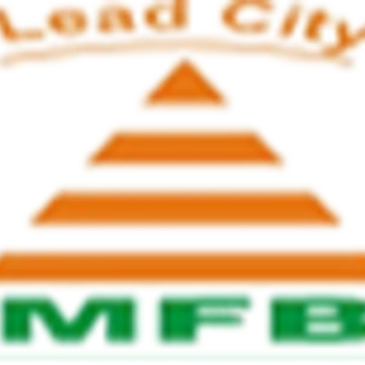 Leadcity Microfinance Bank Limited