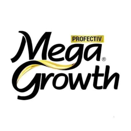 MegaGrowth Nigeria