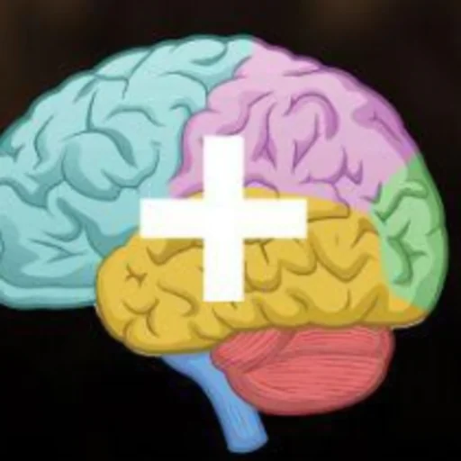 Mobile Health Consult (Brain Dynamics)