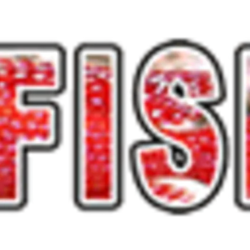 Mr Fish Limited