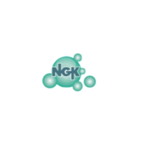 NGK Associates