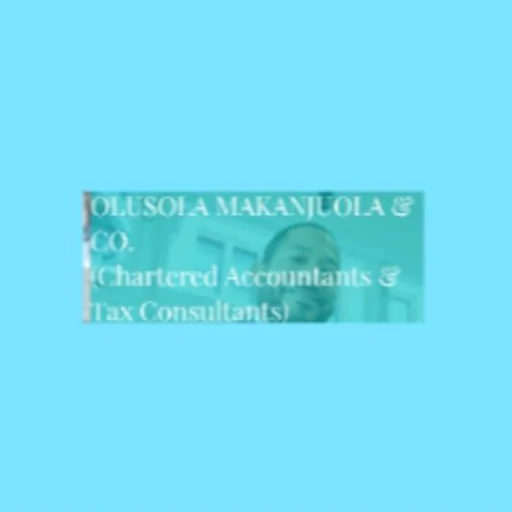 Olusola Makanjuola And Company