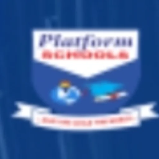 Platform Schools