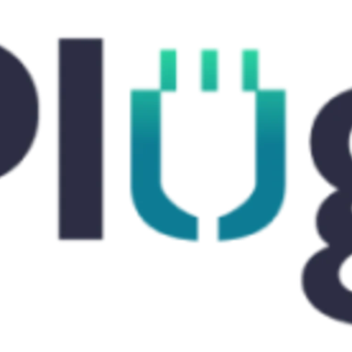 Plug