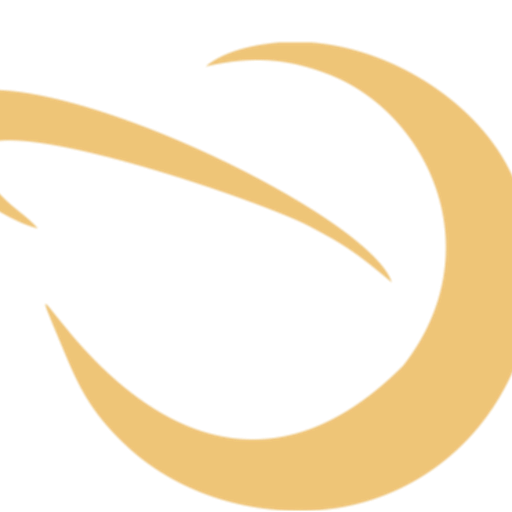 Shodan Travel and Tours LTD