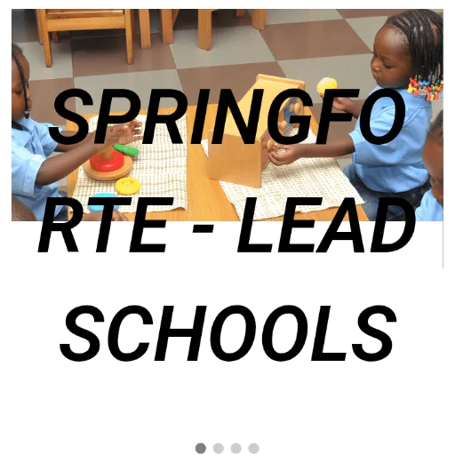 Springfort-Lead Schools