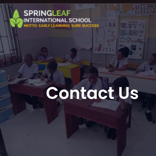 Springleaf International School