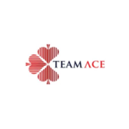 Teamace Limited