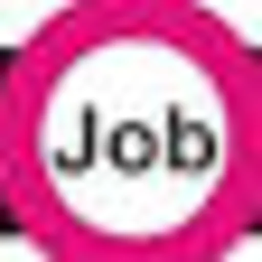 Vision Job 24/7 Limited