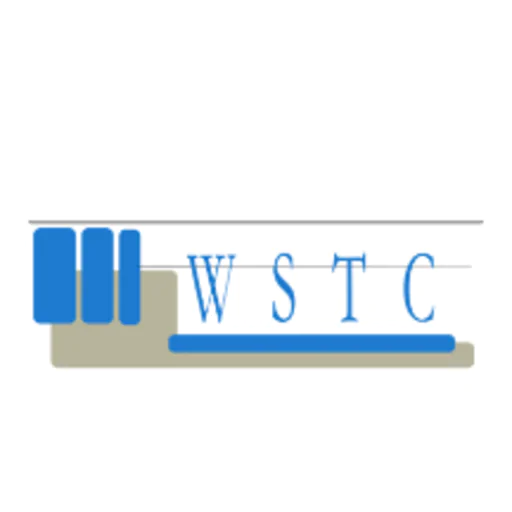 WSTC Finance Services Ltd